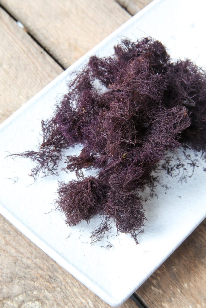 truffle seaweed