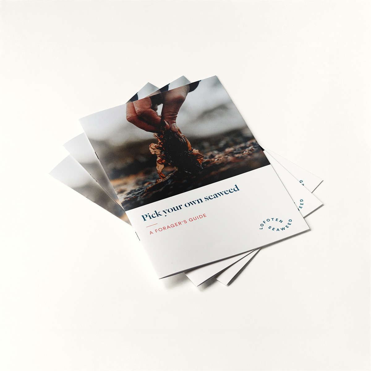 Pick Your Own Seaweed - A Foragers Guide