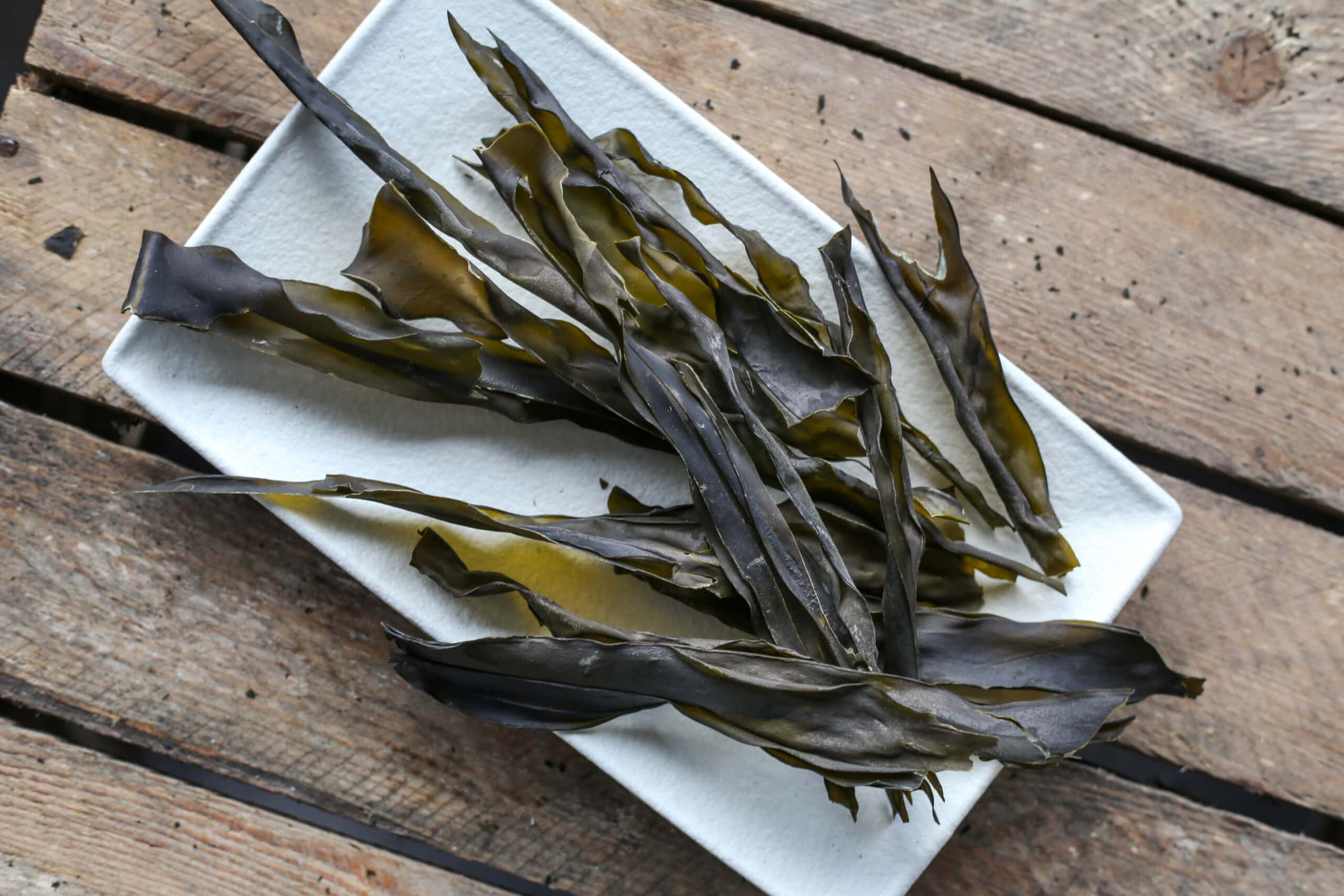 Oarweed (Kombu)