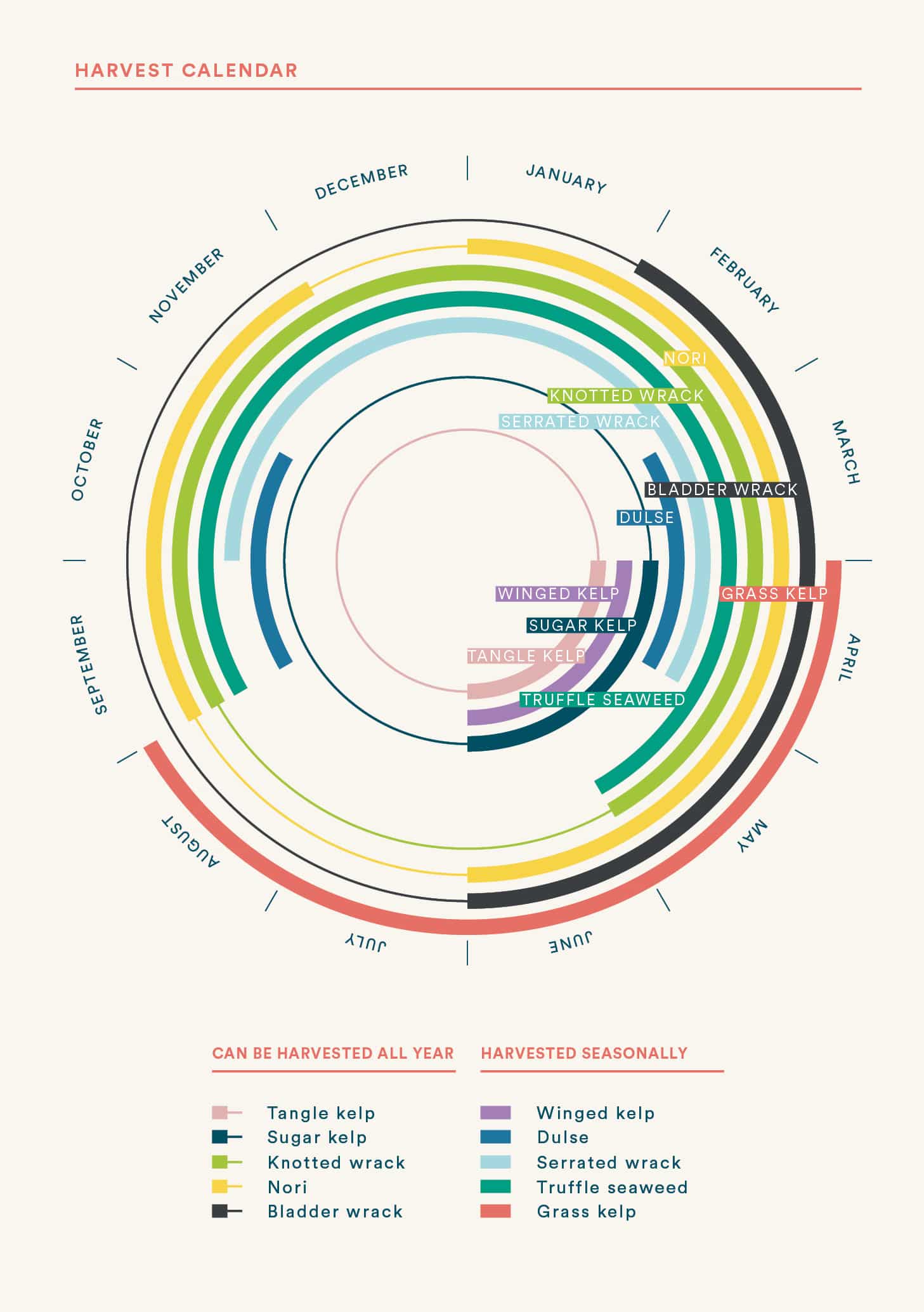 Pick Your Own Seaweed - A Foragers Guide