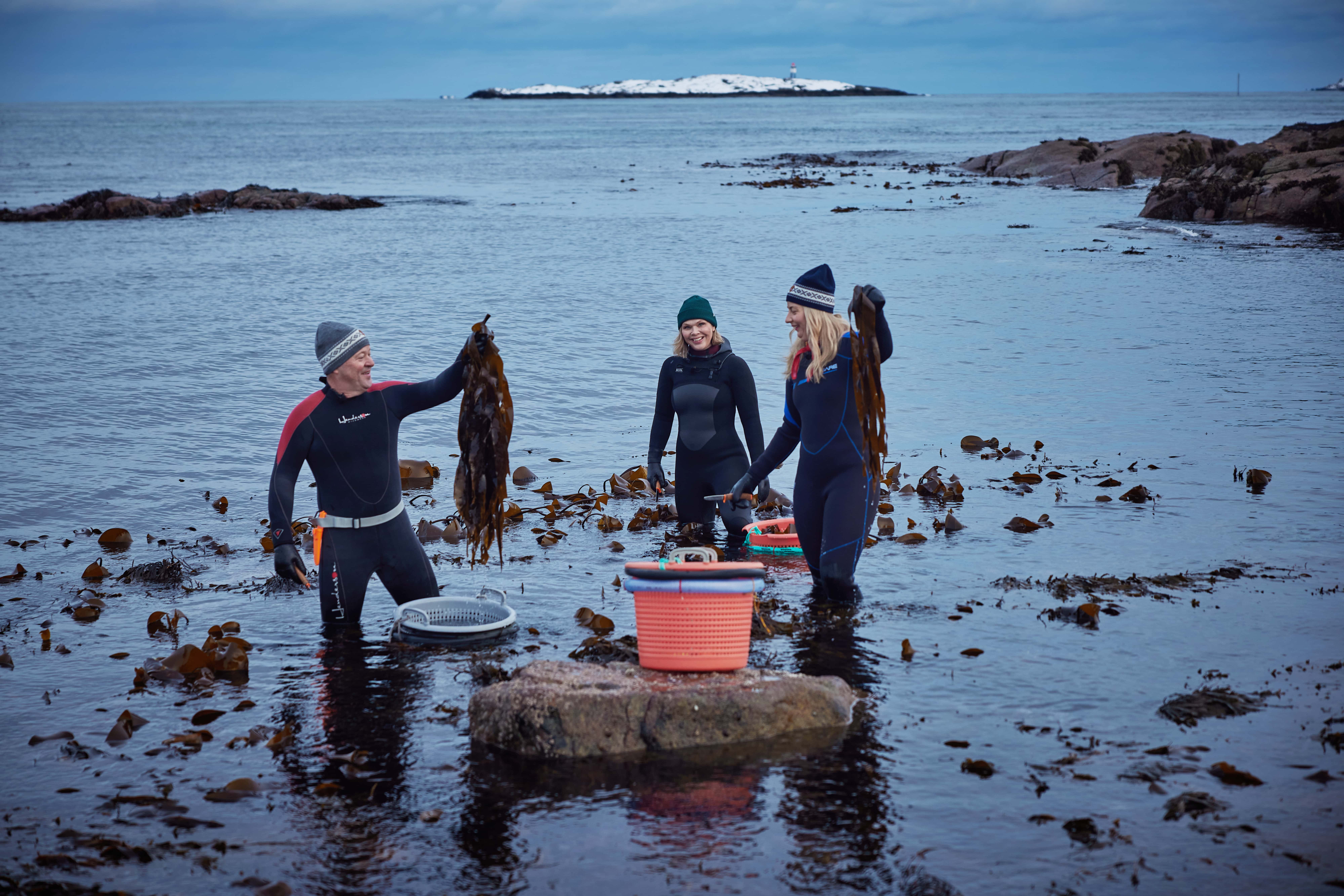 Shooting People of the North