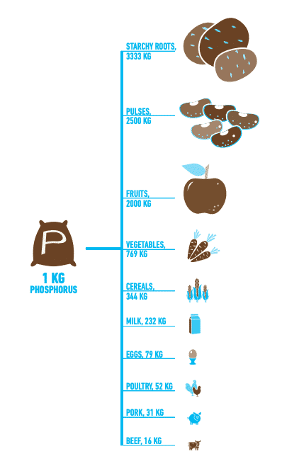 The phosphorous footprint of the major food groups