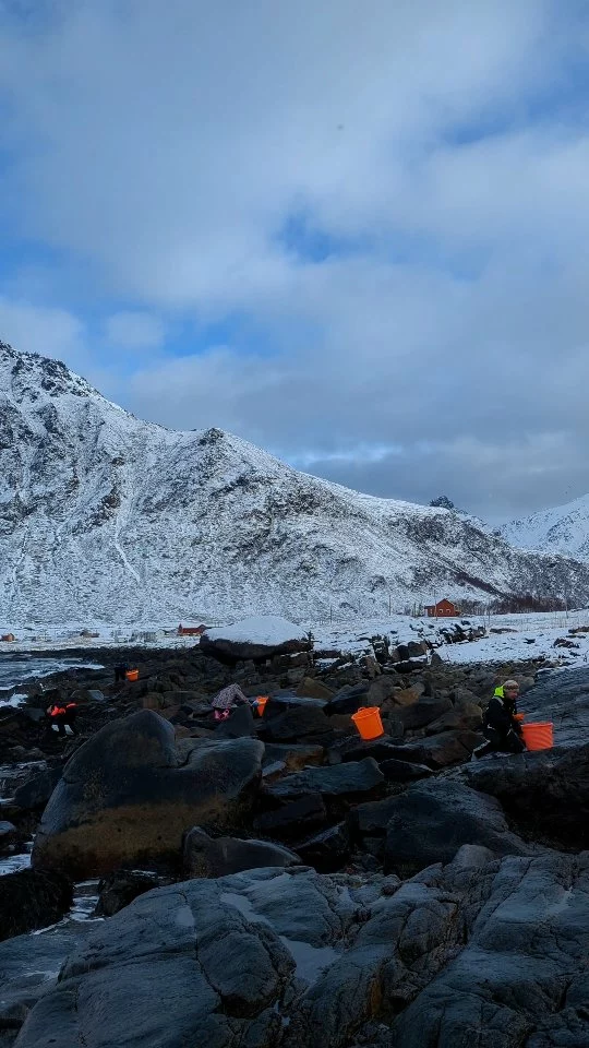 End of March, and winter wasn’t quite done with us after all the rain ❄️🌊

A cold, bright morning on the shore with the team, harvesting nori, a seaweed that grows on rocks and more commonly used for sushi sheets (after it's been roasted it turns into a green colour). You can eat it fresh off the rocks, it's delicious!

Strong waves were rolling in, so we kept close, listening carefully and moving with the rhythm of the ocean 🩵
