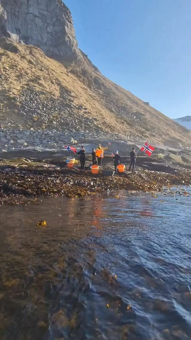 Gratulerer med dagen, Norge! 🇳🇴 

Today we celebrate freedom, community, and everything that makes our country so special. 
May 17th is a day filled with joy, pride, and traditions - from children’s parades and waving flags to traditional costumes (bunad), ice cream, and meaningful moments with family and friends.

Let’s take care of what we have, support one another, and enjoy this wonderful day - wherever we are in the country.

Wishing you all a beautiful and joyful celebration! 
Hipp, hipp, hurra! 🇳🇴✨