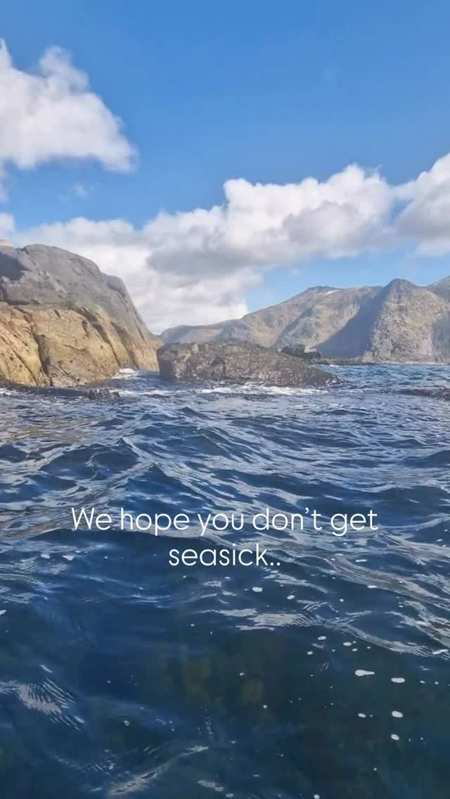 We hope you don’t get seasick.. But this is what it’s like for our boat skipper to wait for the harvesters to finish.. 
Did you know that they harvest for three hours? How’s your breakfast feeling? Luckily, you can enjoy our seaweed products without all the hard work and order them easily from your steady living room..
