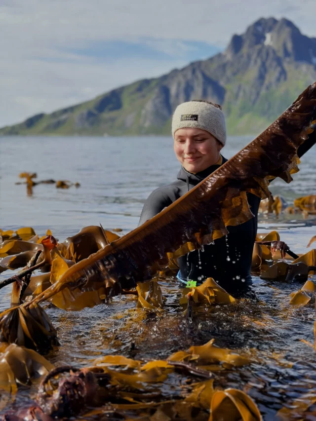 Meet some of our amazing harvesters: Signe, Millie, Aino, Quentin and our skipper Stian 🌊🌿

Every season, people come to Lofoten from all around the world to work with us, bringing their energy, curiosity, strength and care to the shoreline.

This season, they have done an incredible job. Through changing weather, long days and early mornings, they have harvested with respect for the sea and helped bring in the beautiful seaweed that becomes part of our products. 

We are so grateful for the hard work, good spirit and dedication they bring to Lofoten Seaweed Company. 

Thank you for being such an important part of our season 🫶